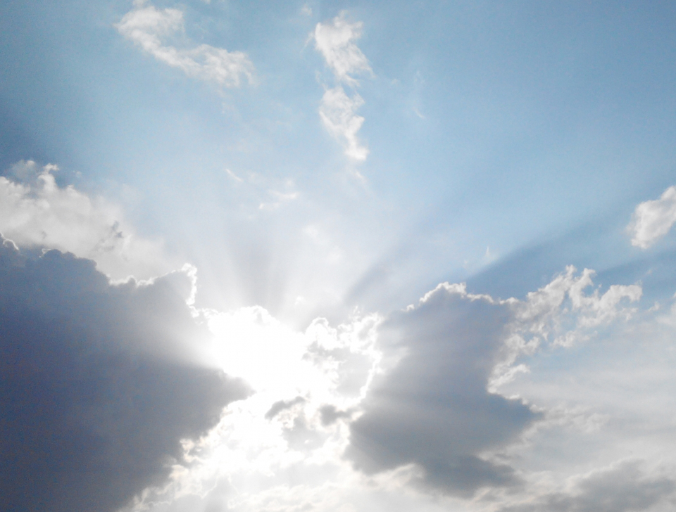 薄毛に悩む全ての方々へ