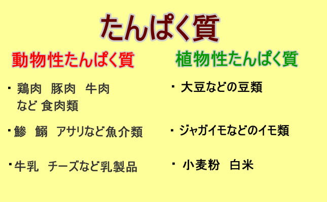 育毛にはケラチンが必要